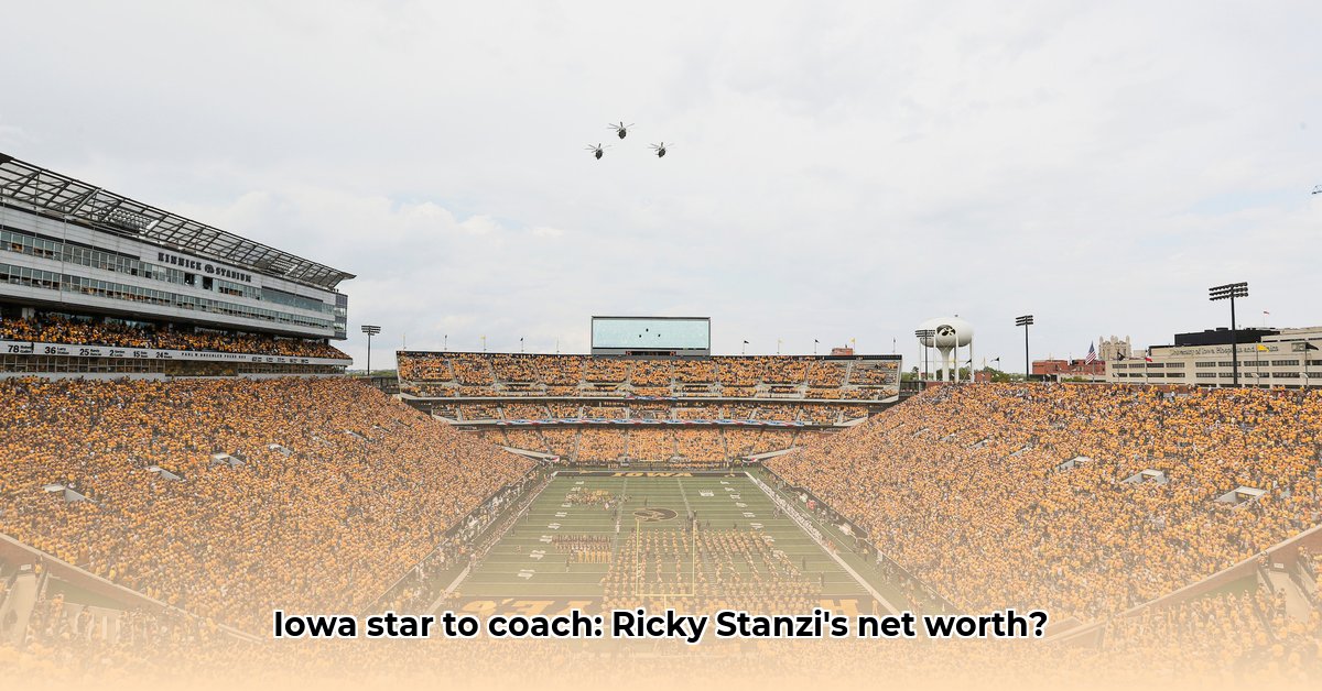 ricky-stanzi-net-worth